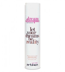 Dream Shampoo Post