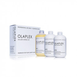Salon Intro Kit
