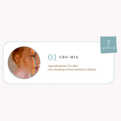 LIVE WEBINAR: CRO-MIA